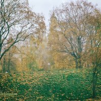 Осень в городе :: Evgenij Schleinikov