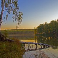 Осеннее утро. :: Анатолий Круглов