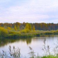 На этюдах... :: Александр Школьник