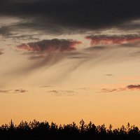 Оставляющие след на закате. :: Николай Масляев