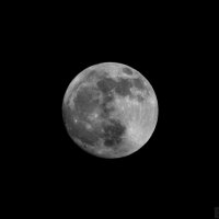Луна :: Евгений Синяткин
