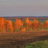 Золотая осень. :: геннадий 