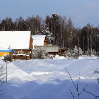 Заимка в лесу :: Валентин Когун