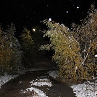 Осенний снег.-1 :: Наталья Юрова