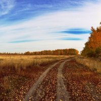 Осень :: Владимир 