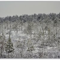 Так начинается зима :: Василий Хорошев