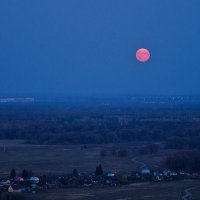 Красная Луна :: Zifa Dimitrieva