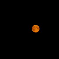 Красная луна :: Zifa Dimitrieva