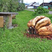 Диво-дивное :: Александр Рождественский