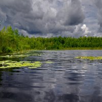 На озере :: Валерий Талашов