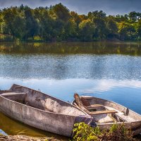 Потрёпанные временем. :: ALLA Melnik 