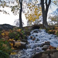 Осень в Луговом парке. :: Владимир 