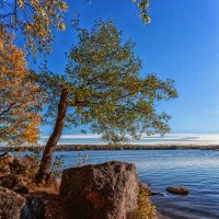 Ландшафный парк Монрепо. Выборг :: Евгений Никифоров