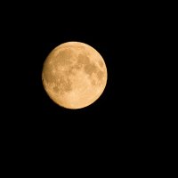 The moon :: Борис Панков