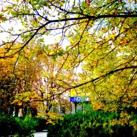 Осень в Измаиле :: Жанна Романова