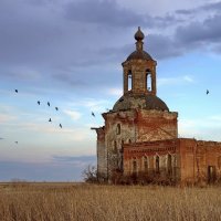 Забытый :: евгений савельев