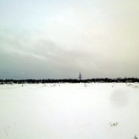 Коми. Первый снег в октябре. :: Николай Туркин 