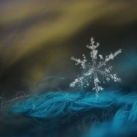 первые снежинки :: Владлена Лапшина