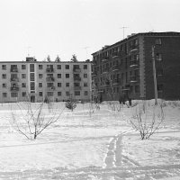 Бийск. 1963 :: Олег Афанасьевич Сергеев