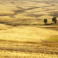 Елховский район Самарской Губернии :: Денис Кораблёв