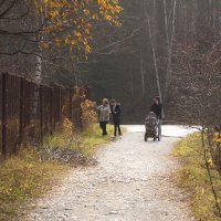 Семейный выход на прогулку. :: Ольга 