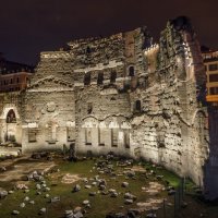 Развалины римского форума. :: Elena Klimova