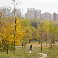Осенний пейзаж.Раменки. :: Александр Атаулин
