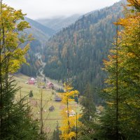 Осень в Закарпатье :: Сергей Форос