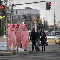 Свинский перекресток :: Николай Белавин