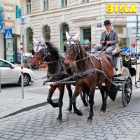 Где то в Вене... :: Александр Вивчарик