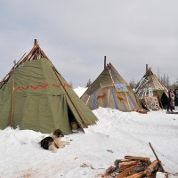 День оленевода-2013 :: Валерий Сумаков