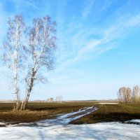 В апреле :: Таня Аверина