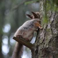 НУ хватит меня снимать- я стесняюсь) :: Евгеша Живчик