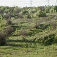 Большой овраг :: Анатолий Моргун