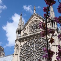 Весенний Notre-Dame de Paris :: Андрей Кузнецов