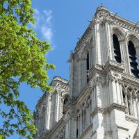 Весенний Notre-Dame de Paris :: Андрей Кузнецов
