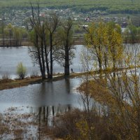 Коса на реке СОК :: Виктор Замулин