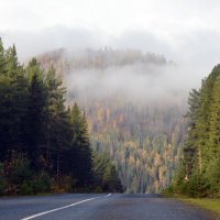 Осенняя дорога в горах :: Владимир Анакин