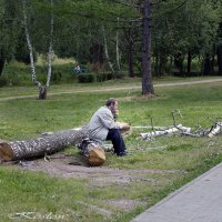 На перепутье :: Егор Козлов