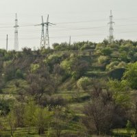 Пейзаж с чупокаброй :: Анатолий Моргун