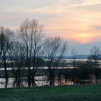 River flood :: Lera Komisarchuk