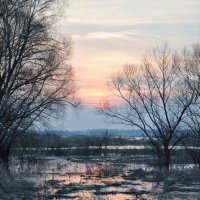 River flood :: Lera Komisarchuk