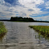 Пелено. :: Константин Иванов