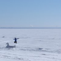 В зеленогорске :: Ната Лебедева