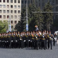 Кто шагает дружно в ряд... :: Яна Гончарова