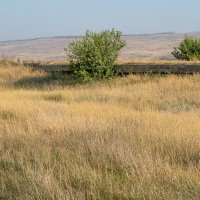 По следам "Туапсинки"...разрушенный мост у х. Державный... :: Юлия Бабитко