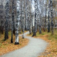 Дороги , которые мы выбираем . :: Мила Бовкун