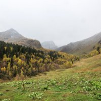 Осень в горах. :: Геннадий Оробей