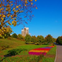 Осенний день. :: Александр Атаулин