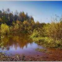 Осенняя распутица. :: Любовь Чунарёва